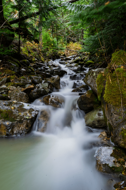 Kootenay Counselling