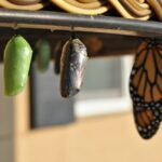 Navigating Change Blog