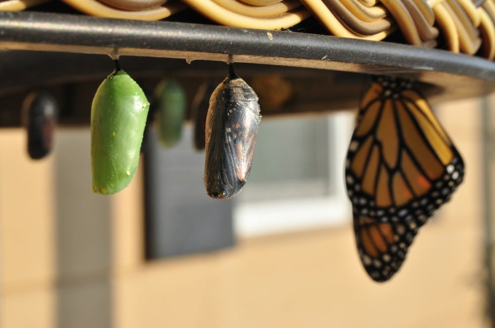 Navigating Change Blog