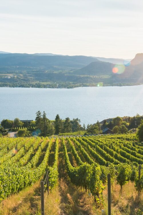 Kootenay Counselling