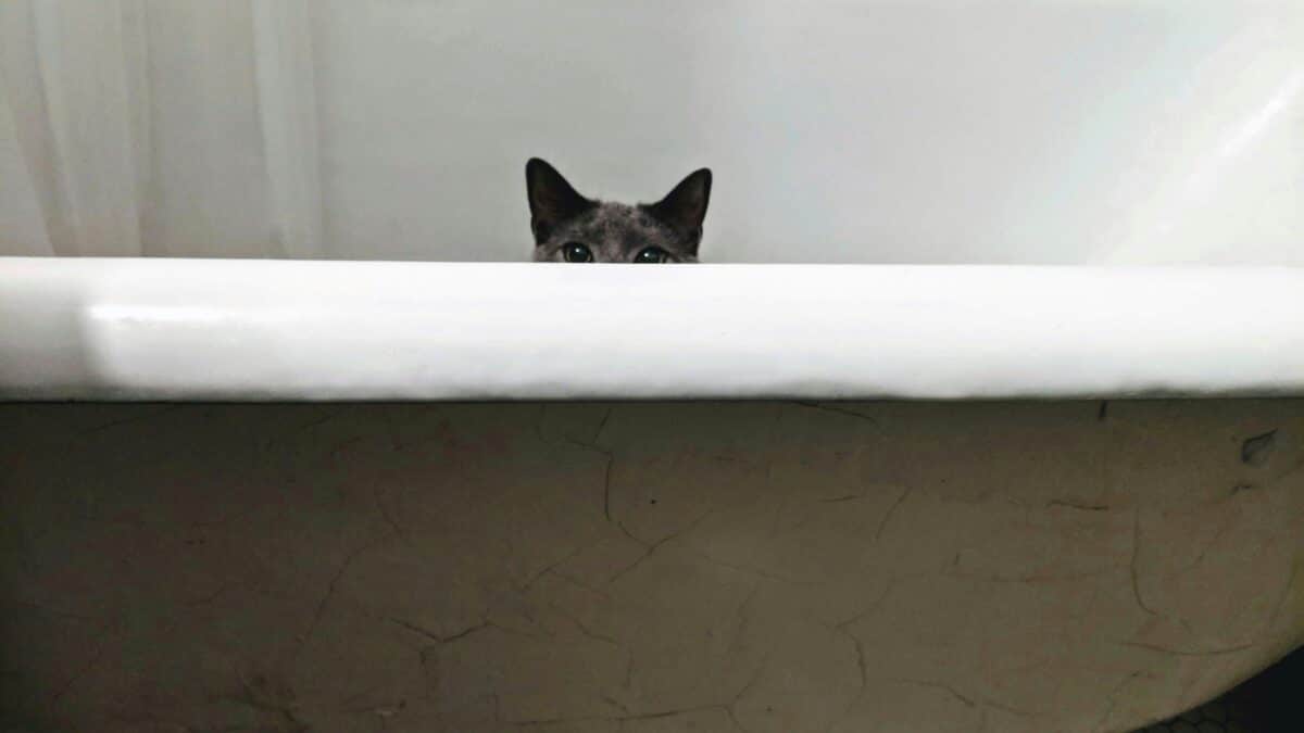 Imposter syndrome