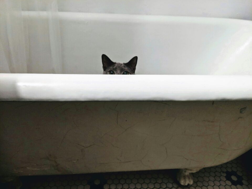 Imposter syndrome