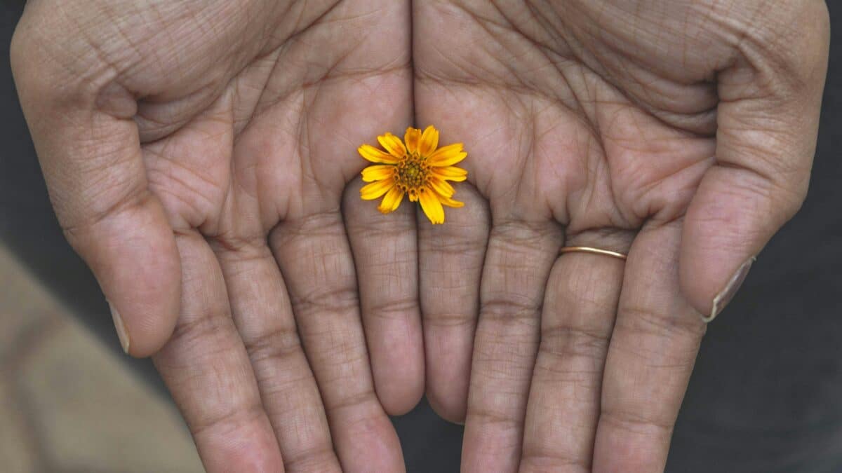 Acceptance and Commitment Therapy
