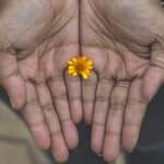 Acceptance and Commitment Therapy