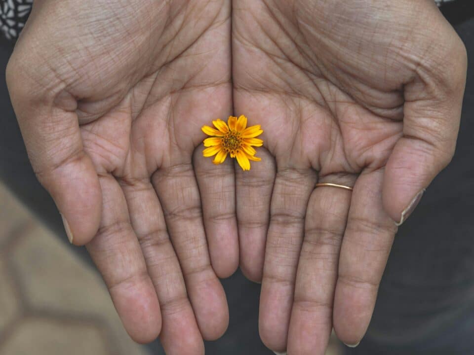 Acceptance and Commitment Therapy