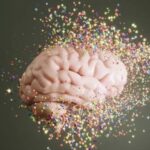 neuroscience of grief